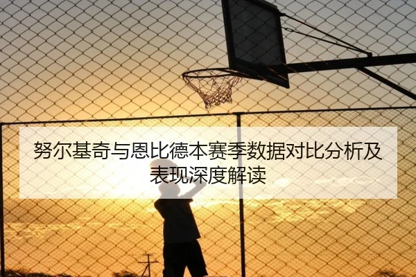 努尔基奇与恩比德本赛季数据对比分析及表现深度解读